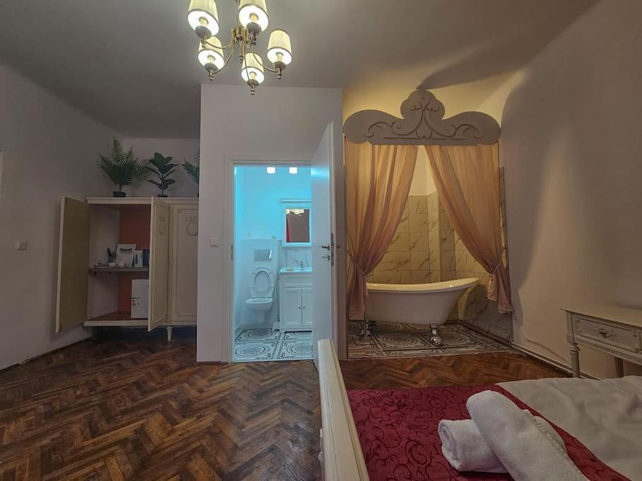 Ludovic Boutique Apartment Brasov Exterior photo